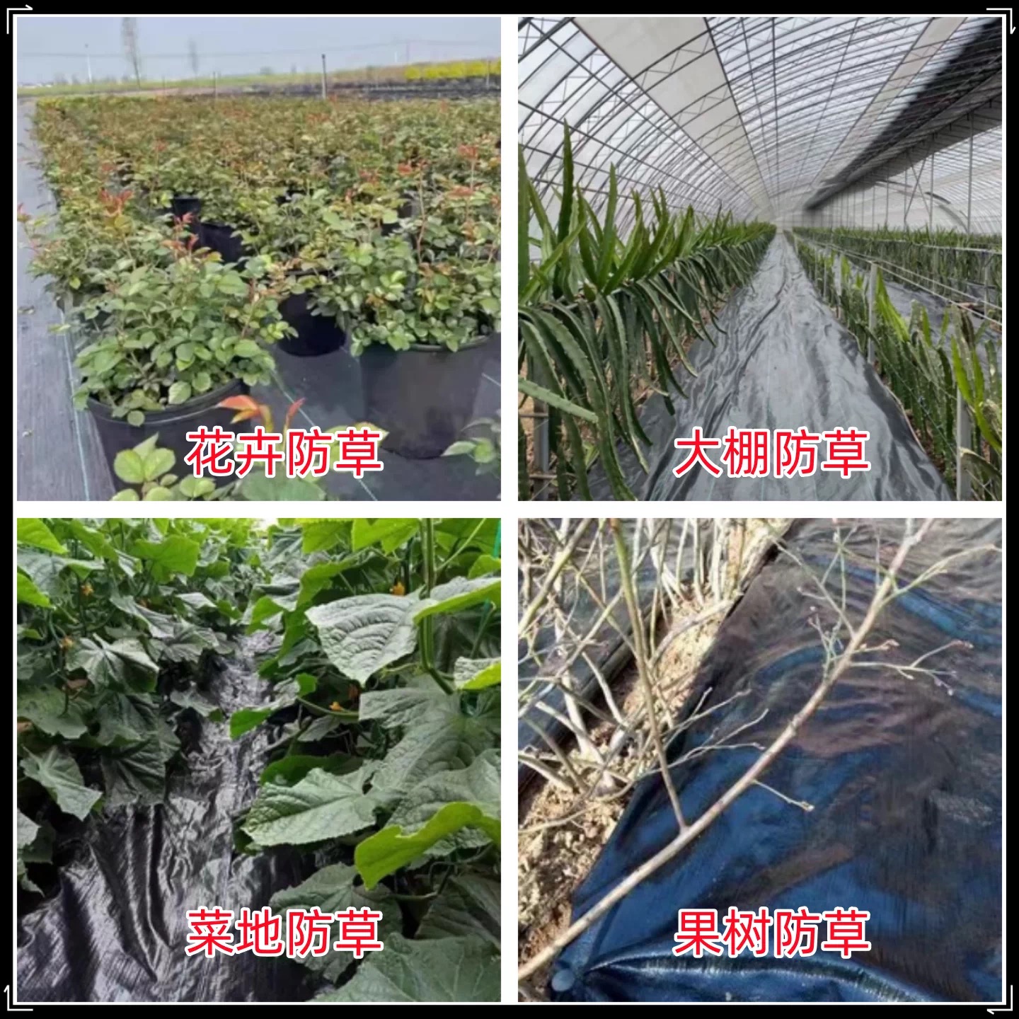 忻州市po膜防草布 - 哪里好