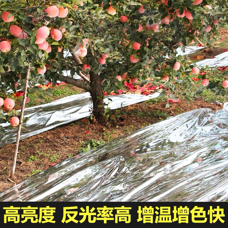 忻州市塑料薄膜果树反光膜 - 价格